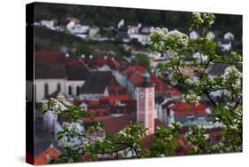 Looking Through the Bushes to Eichstatt-Felix Strohbach-Stretched Canvas