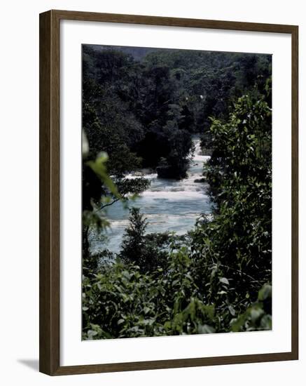 Looking Through Trees at Shumel Ja River, Mexico-Michael Brown-Framed Photographic Print