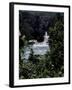 Looking Through Trees at Shumel Ja River, Mexico-Michael Brown-Framed Photographic Print