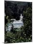 Looking Through Trees at Shumel Ja River, Mexico-Michael Brown-Mounted Photographic Print