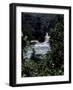 Looking Through Trees at Shumel Ja River, Mexico-Michael Brown-Framed Photographic Print