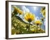 Looking thru the Tiddy Tips, Shell Creek, California, USA-Terry Eggers-Framed Photographic Print