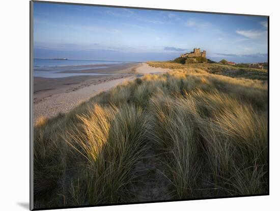 Looking Towards Bamburgh Castle Bathed in Evening Light from the Dunes Above Bamburgh Beach-Lee Frost-Mounted Photographic Print