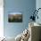 Looking Towards Bamburgh Castle Bathed in Evening Light from the Dunes Above Bamburgh Beach-Lee Frost-Photographic Print displayed on a wall