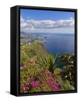 Looking Towards Funchal From Cabo Girao, One of the World's Highest Sea Cliffs, Portugal-Neale Clarke-Framed Stretched Canvas
