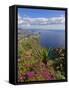 Looking Towards Funchal From Cabo Girao, One of the World's Highest Sea Cliffs, Portugal-Neale Clarke-Framed Stretched Canvas