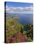 Looking Towards Funchal From Cabo Girao, One of the World's Highest Sea Cliffs, Portugal-Neale Clarke-Stretched Canvas