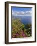 Looking Towards Funchal From Cabo Girao, One of the World's Highest Sea Cliffs, Portugal-Neale Clarke-Framed Photographic Print