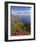 Looking Towards Funchal From Cabo Girao, One of the World's Highest Sea Cliffs, Portugal-Neale Clarke-Framed Photographic Print