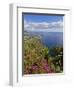 Looking Towards Funchal From Cabo Girao, One of the World's Highest Sea Cliffs, Portugal-Neale Clarke-Framed Photographic Print