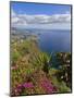 Looking Towards Funchal From Cabo Girao, One of the World's Highest Sea Cliffs, Portugal-Neale Clarke-Mounted Photographic Print
