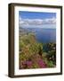 Looking Towards Funchal From Cabo Girao, One of the World's Highest Sea Cliffs, Portugal-Neale Clarke-Framed Photographic Print