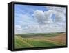 Looking Towards Salisbury Plain from the Ramparts of Scratchbury Hill Fort, 2009-Peter Breeden-Framed Stretched Canvas