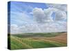 Looking Towards Salisbury Plain from the Ramparts of Scratchbury Hill Fort, 2009-Peter Breeden-Stretched Canvas