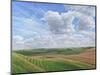 Looking Towards Salisbury Plain from the Ramparts of Scratchbury Hill Fort, 2009-Peter Breeden-Mounted Giclee Print