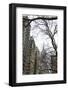 Looking up 5th-Erin Clark-Framed Art Print