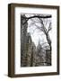 Looking up 5th-Erin Clark-Framed Art Print