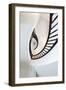 Looking Up at Architectural Details of an Ornate Spiral Staircase-James White-Framed Photographic Print