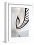 Looking Up at Architectural Details of an Ornate Spiral Staircase-James White-Framed Photographic Print