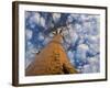 Looking Up at Baobab on Baobabs Avenue, Morondava, West Madagascar-Inaki Relanzon-Framed Photographic Print