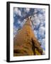 Looking Up at Baobab on Baobabs Avenue, Morondava, West Madagascar-Inaki Relanzon-Framed Photographic Print