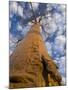 Looking Up at Baobab on Baobabs Avenue, Morondava, West Madagascar-Inaki Relanzon-Mounted Photographic Print