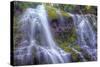 Looking Up at Lower Proxy Falls - Central Oregon-Vincent James-Stretched Canvas