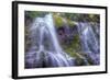 Looking Up at Lower Proxy Falls - Central Oregon-Vincent James-Framed Photographic Print