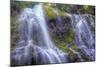 Looking Up at Lower Proxy Falls - Central Oregon-Vincent James-Mounted Photographic Print