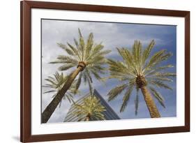 Looking Up at Palm Trees, Las Vegas Strip, Nevada, United States-Susan Pease-Framed Photographic Print