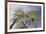 Looking Up at Palm Trees, Las Vegas Strip, Nevada, United States-Susan Pease-Framed Photographic Print