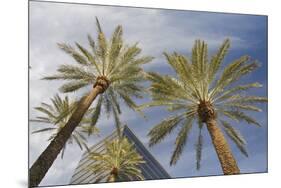 Looking Up at Palm Trees, Las Vegas Strip, Nevada, United States-Susan Pease-Mounted Photographic Print