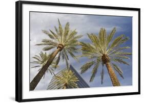 Looking Up at Palm Trees, Las Vegas Strip, Nevada, United States-Susan Pease-Framed Photographic Print