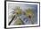 Looking Up at Palm Trees, Las Vegas Strip, Nevada, United States-Susan Pease-Framed Photographic Print