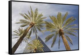 Looking Up at Palm Trees, Las Vegas Strip, Nevada, United States-Susan Pease-Framed Stretched Canvas