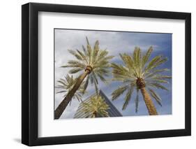 Looking Up at Palm Trees, Las Vegas Strip, Nevada, United States-Susan Pease-Framed Photographic Print