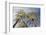 Looking Up at Palm Trees, Las Vegas Strip, Nevada, United States-Susan Pease-Framed Photographic Print