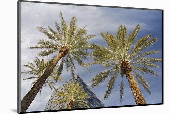 Looking Up at Palm Trees, Las Vegas Strip, Nevada, United States-Susan Pease-Mounted Photographic Print