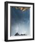 Looking Up at the Sky in the Alpine Lakes Wilderness Area, Washington-Steven Gnam-Framed Photographic Print