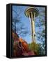 Looking up at the Space Needle, Seattle, Washington, USA-Janis Miglavs-Framed Stretched Canvas