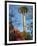 Looking up at the Space Needle, Seattle, Washington, USA-Janis Miglavs-Framed Photographic Print