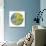 Looking Up Circle-Joy Doherty-Giclee Print displayed on a wall