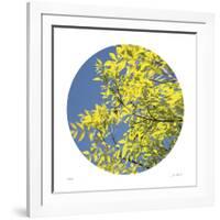 Looking Up Circle-Joy Doherty-Framed Giclee Print