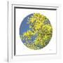 Looking Up Circle-Joy Doherty-Framed Giclee Print