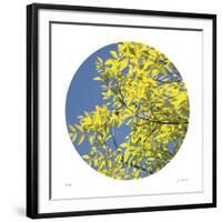 Looking Up Circle-Joy Doherty-Framed Giclee Print