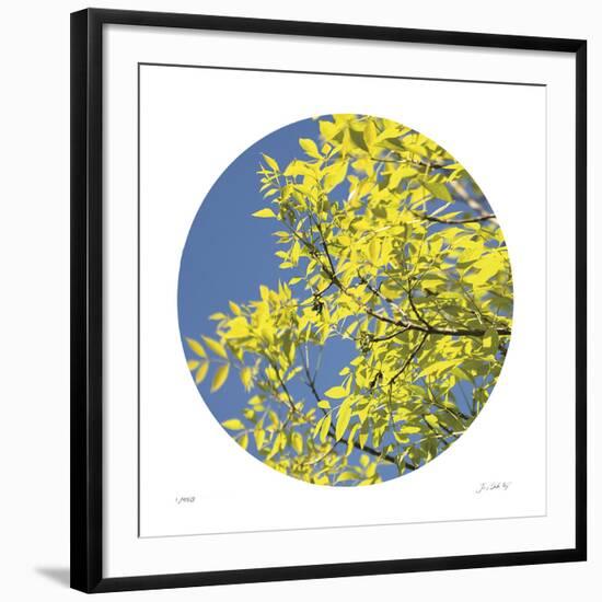 Looking Up Circle-Joy Doherty-Framed Giclee Print