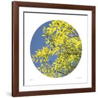 Looking Up Circle-Joy Doherty-Framed Giclee Print