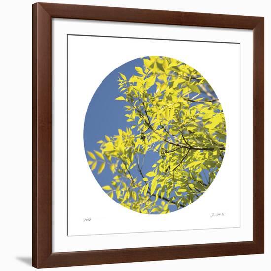 Looking Up Circle-Joy Doherty-Framed Giclee Print