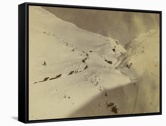 Looking Up The Summit Of White Pass,-E.A. Hegg-Framed Stretched Canvas