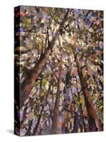 Looking Up Through Trees-Jean Cauthen-Stretched Canvas